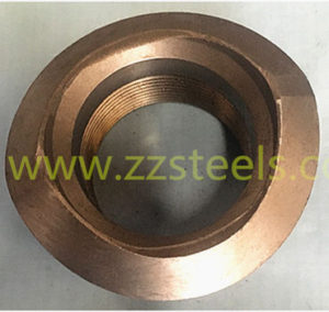DN100X40 Thredolet A105N FNPT