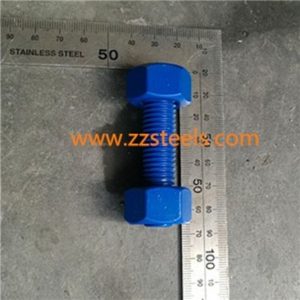 PTFE Bolt&Nut Inspection