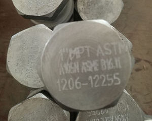 ASTM A105 Hex Head Plug MPT