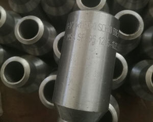 ASTM A105 Concentric Swage