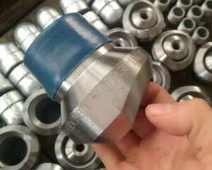 ASTM A105 Screwed Nipolet Manufacturer