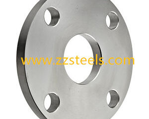 ASTM A182 Gr304 Blind Flange PN16