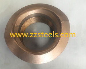 ASTM A105 Forged Threadolet