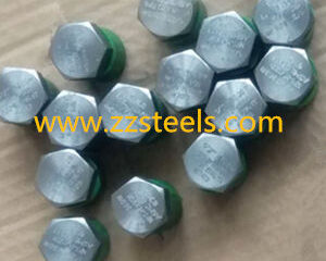 ASTM A105N Hex Head Plug DN15