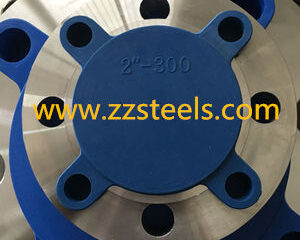 A182 F316L Blind Flange RTJ 300LB