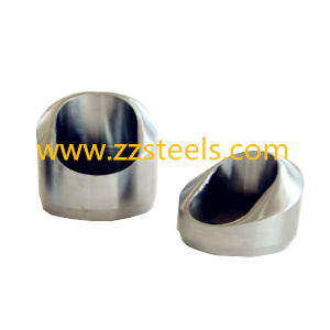 Elbolet Pipe Fittings