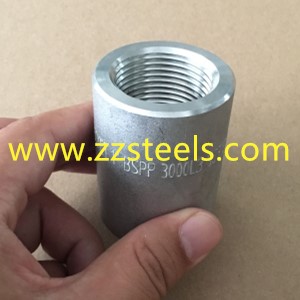 SS316 Threaded Coupling
