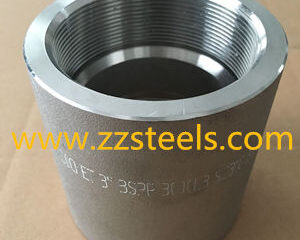 Stainless Steel Socket BSPP