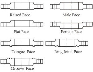 Stainless Steel Industrial Flanges Seal Types