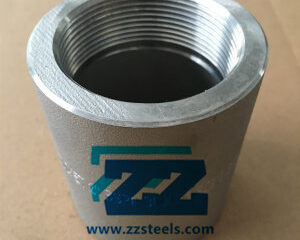 Stainless Steel BSP Coupling