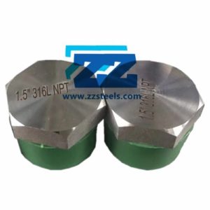 NPT Hex Plug ASTM A182 F316L