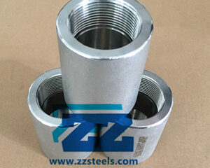 3000 LB Stainless Steel Coupling BSPP