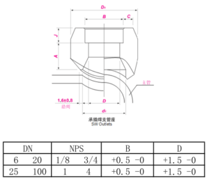 Tolerance of Stainless Steel Sockolet