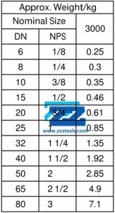 Class 3000 Threaded Union Weight
