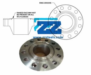 Ring Type Joint Lap Joint Flange