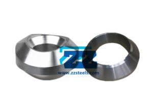 Stainless Steel Weldolet