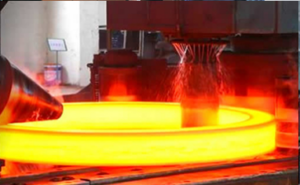 Weld neck flanges