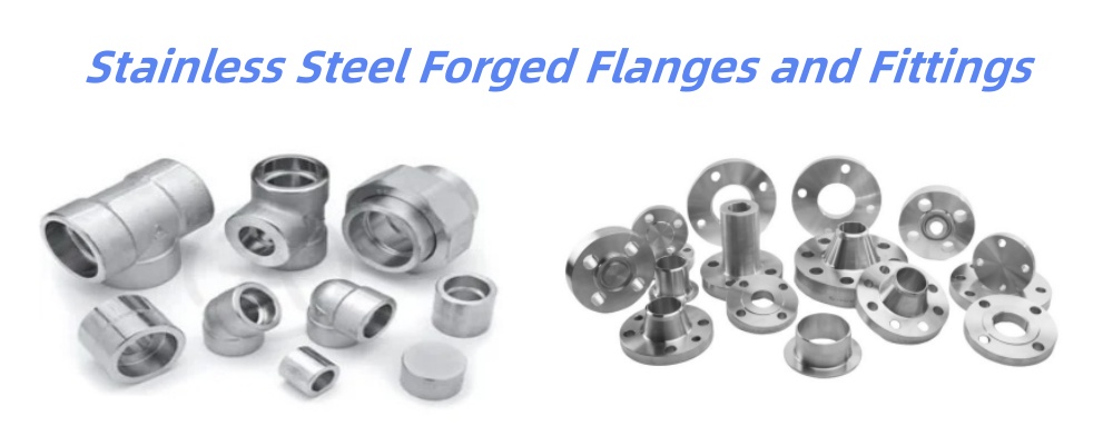 Stainless Steel Forged Flanges and Fittings